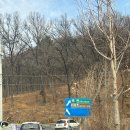 카페나무(cafe NAMU) | 대전 옥천 대청호 카페 LE CAFE 르 카페 주말 브런치 후기