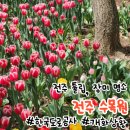 [전주 추천 여행지] 전주 한국도로공사 전주수목원 후기 : 봄 튤립과 산책, 그리고 장미의 뜨락까지