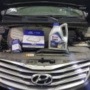 피트아우토 이미지