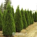 뜰축산 김해뉴스