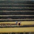 김광언 | 안승일 사진집(5): 굴피집