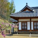 아름다운 견식 | [충청북도 옥천군] 정지용 생가