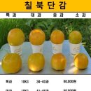 칠북-4 이미지