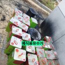 정원유통 네이버블로그