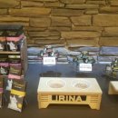 올캣코리아 이미지