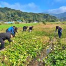 사리면사무소 이미지