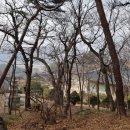 영주 부석사 삼층석탑 이미지