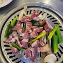 구공탄뽈따구 이미지