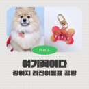 레진아트로 반려동물 이름표 키링 만들기 | 부천 신중동역 반려동물인식표 레진아트공방 여기꽃이다