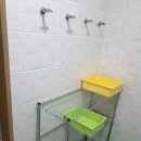 뜨란솔 캠핑장 | 강원도영월 뜨란솔캠핑장이용후기