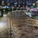 도림천 산책로5 이미지