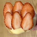 고양 스타필드 신상 크레페 맛집 / 크레페 허브 카페 방문 후기