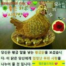 삽시당