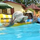 사벌농업협동조합 | 4박6일 보홀여행1 (24.10.18-10.19)