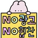 가장아름답개 이미지