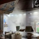 배부른고양이 | 배부른 늑장 일기