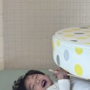 엘사키즈펜션 | 가성비 가평키즈풀빌라 엘사키즈펜션에서 알차게논 후기