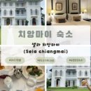 부띠끄셀라 이미지