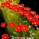 최고의선물 이미지