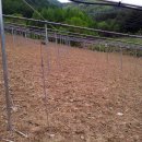 연화농원 이미지