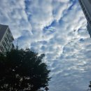 한솥도시락 문산당동점 | [9월 둘째 주] 나의 용량 파악하기