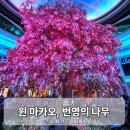 윈하나로투어