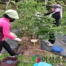 인기농장 이미지