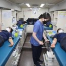 대한적십자사부산혈액원 이미지