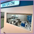 도그유토피아 살롱 이미지