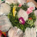 황금 성인PC 이미지