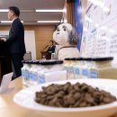 세종사료 이미지