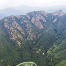 소나무와 호수 이미지