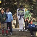 무도