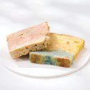 멍냥스푼 이미지