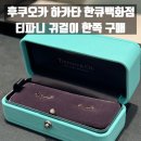 티파니 | [규슈/후쿠오카] 하카타 한큐백화점 티파니 귀걸이 한쪽 구매 후기✨