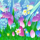 압구정고등학교 이미지