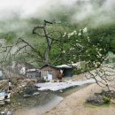고은인터내셔널 세계일보