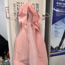 통영항 여객선터미널 | 통영항여객선터미널 가성비 다찌 통영대물다찌