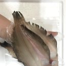 주문진항20 이미지