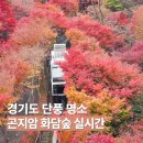 모노레일커피 | 화담숲 실시간! 단풍 시즌 예약 성공하고 모노레일 타고 온 후기