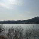 히든캠프 이미지