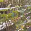 장동농장 이미지