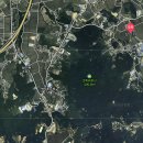 경기도 안성시 대덕면사무소 이미지