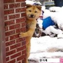 복 이미지
