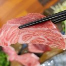 눈꽃참치