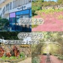 연명로 | 가을 제주도 가볼 만한 곳 마노르블랑 vs 산양큰엉곶 둘 중 한곳만 간다면?!