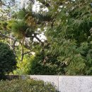 이순신장군 백의종군로 이미지