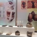 용인문화유적전시관 이미지