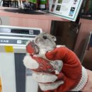 신공항동물병원 이미지