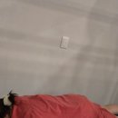 루루중국전통바디풋샵 네이버블로그